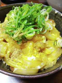 卵とろりのヒレかつ丼-レシピのメイン写真