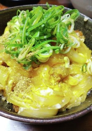 卵とろりのヒレかつ丼-レシピのメイン写真