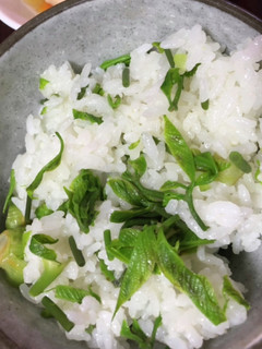 白ごはんから作る絶品★コシアブラごはん-レシピのメイン写真