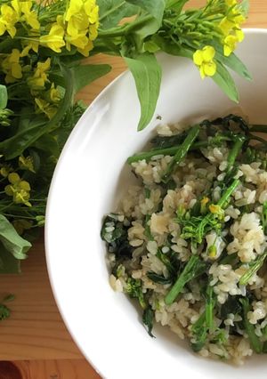 ササッと一品!菜の花チャーハン-レシピのメイン写真