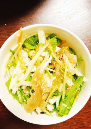 ザーサイとサラダチキン入り中華サラダ-レシピのメイン写真