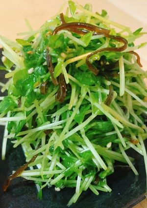 簡単混ぜるだけ✩豆苗と塩昆布のナムル-レシピのメイン写真