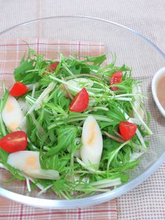 チーかまと水菜のサラダ-レシピのメイン写真