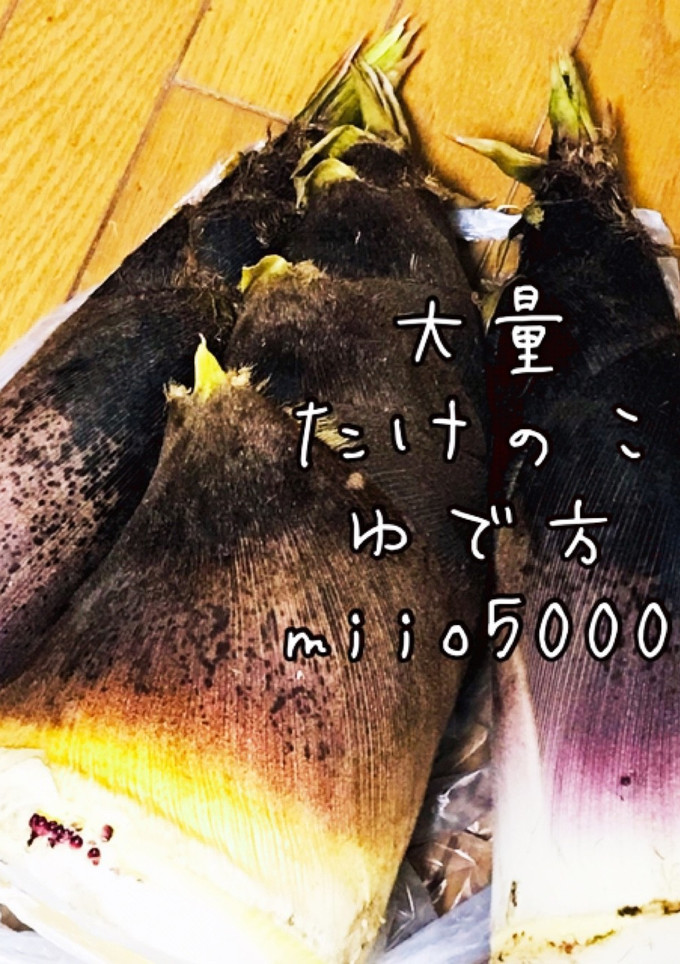 簡単 時短 大量 たけのこ 茹で方-レシピのメイン写真