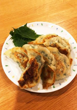 新玉ネギと鶏肉の餃子-レシピのメイン写真
