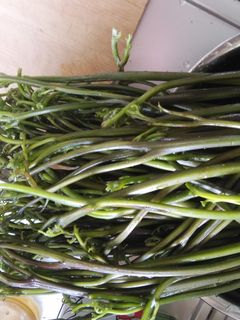 ワラビと高野豆腐の煮物-レシピのメイン写真