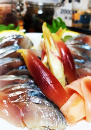 超浅じめの〆鯖-レシピのメイン写真