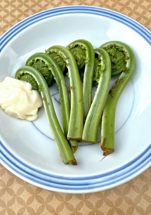 地元でのコゴミの食べ方-レシピのメイン写真