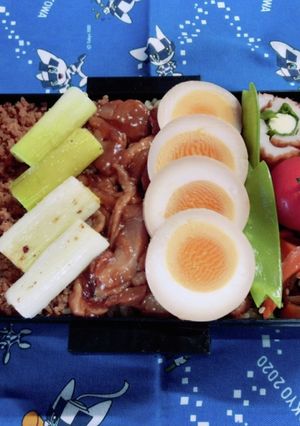 時短お弁当盛り付け記録　やきとり　そぼろ-レシピのメイン写真