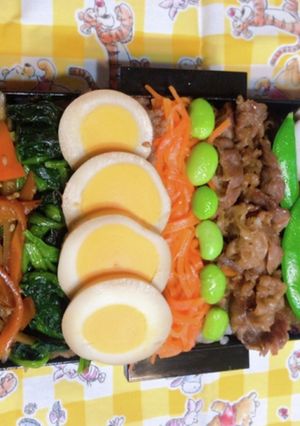 時短お弁当盛り付け記録　ビビンバ-レシピのメイン写真