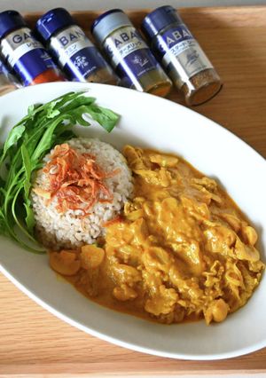 加熱５分薄切り肉と玉ねぎのスパイスカレー-レシピのメイン写真