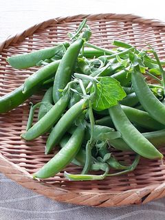 【野菜ソムリエ】スナップエンドウの筋取り-レシピのメイン写真