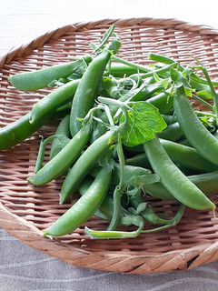 【野菜ソムリエ】スナップエンドウの筋取り-レシピのメイン写真