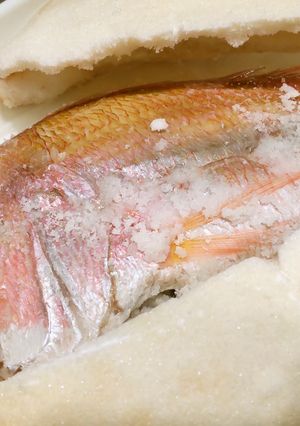 鯛の塩釜焼-レシピのメイン写真