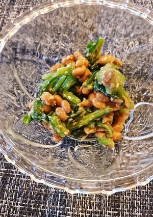 ほうれん草納豆ごま和え-レシピのメイン写真