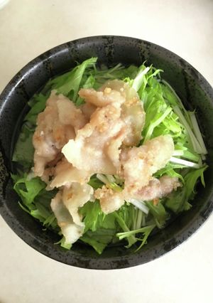 カリカリ豚と水菜の塩うどん☆-レシピのメイン写真