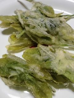 お茶の葉の天ぷら-レシピのメイン写真