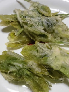 お茶の葉の天ぷら-レシピのメイン写真
