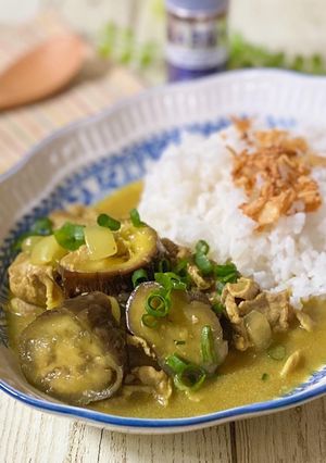 ナスと豚肉のスパイスカレー-レシピのメイン写真