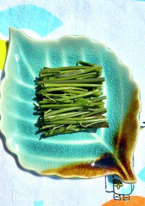 新潟の山菜。木の芽の食べ方-レシピのメイン写真