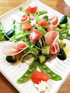 サラダの盛り付け楽しもう-レシピのメイン写真