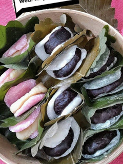 柏もちを3種類作って食べ比べています-レシピのメイン写真