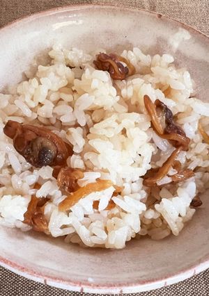 あさりの混ぜご飯-レシピのメイン写真