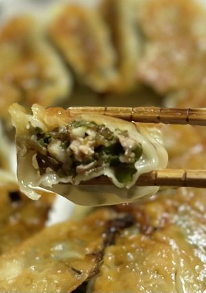 もずく入り餃子♪-レシピのメイン写真