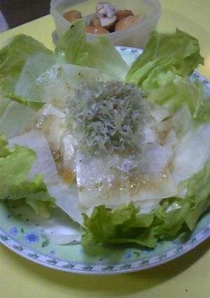 カリカリじゃこの大根サラダ-レシピのメイン写真