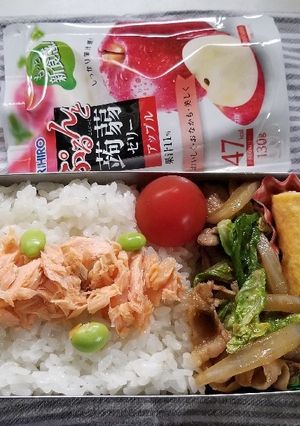 春キャベツ豚肉炒め弁当(5.6)-レシピのメイン写真