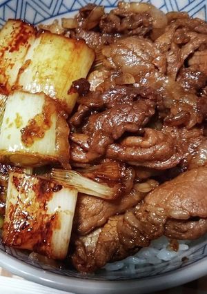 ネギのせ豚丼-レシピのメイン写真
