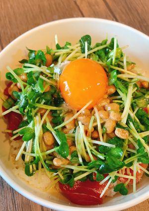 中トロかいわれ納豆丼-レシピのメイン写真