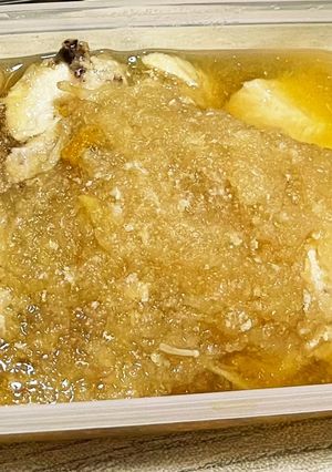冷凍まま鶏のみぞれ煮　ホットクック覚書-レシピのメイン写真
