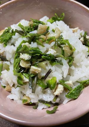 コシアブラの混ぜ込みご飯-レシピのメイン写真