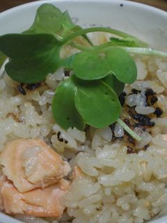 鮭のおこげご飯-レシピのメイン写真