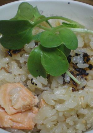 鮭のおこげご飯-レシピのメイン写真