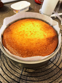 しっとり濃厚チーズケーキ-レシピのメイン写真