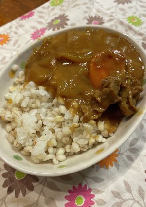 カレールーのとかし方-レシピのメイン写真