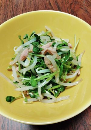 もやし、豆苗、シーチキンのポン酢サラダ-レシピのメイン写真