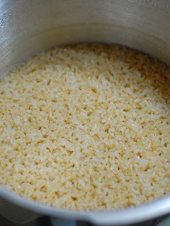 フィスラーの圧力鍋で美味しい玄米炊き-レシピのメイン写真
