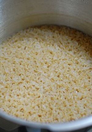 フィスラーの圧力鍋で美味しい玄米炊き-レシピのメイン写真