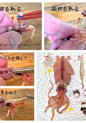 とっても食べやすくなる！ホタルイカ下処理-レシピのメイン写真