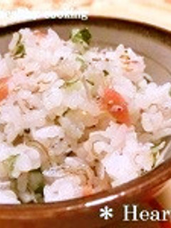 梅とちりめんじゃこの混ぜご飯-レシピのメイン写真