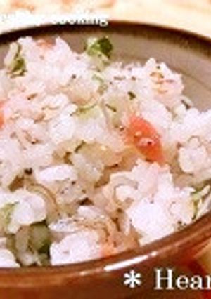 梅とちりめんじゃこの混ぜご飯-レシピのメイン写真