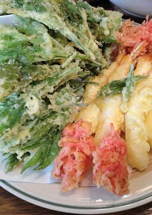 ウドとえびの天ぷら-レシピのメイン写真