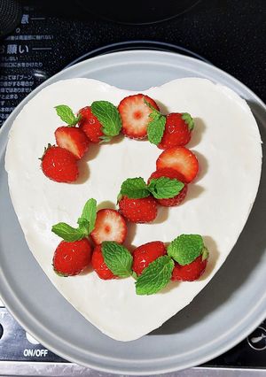 レアチーズケーキ-レシピのメイン写真