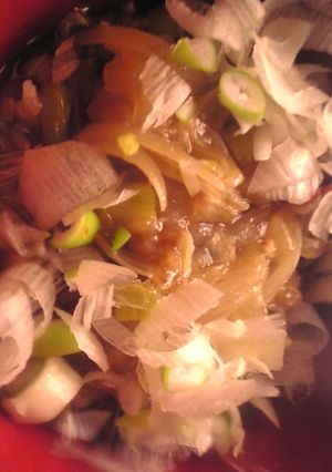 牛すじ肉と玉葱と葱の玄米丼-レシピのメイン写真
