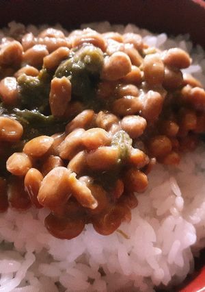 納豆ご飯☆アレンジ ふきみそver-レシピのメイン写真