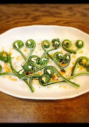 茹で野菜がアートに?? 山菜こごみ編-レシピのメイン写真