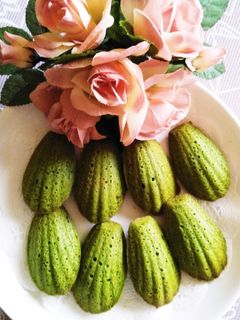 ◆しっとり抹茶のマドレーヌ◆-レシピのメイン写真